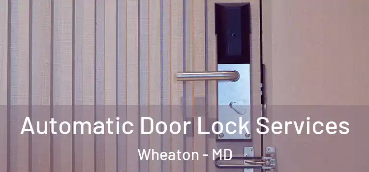 Automatic Door Lock Services Wheaton - MD