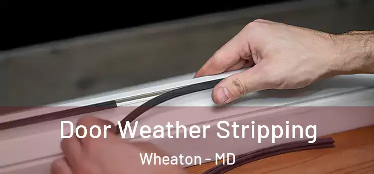  Door Weather Stripping Wheaton - MD