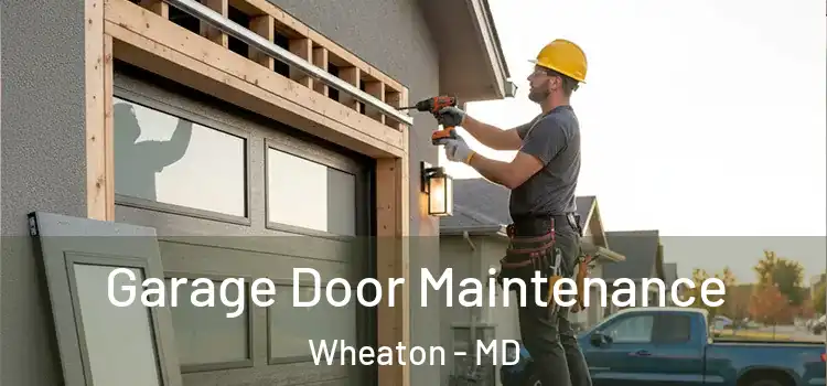 Garage Door Maintenance Wheaton - MD