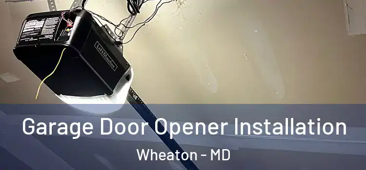  Garage Door Opener Installation Wheaton - MD
